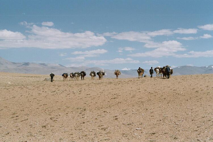 Ladakh - High Altitute Desert Ladakh - High Altitute Desert