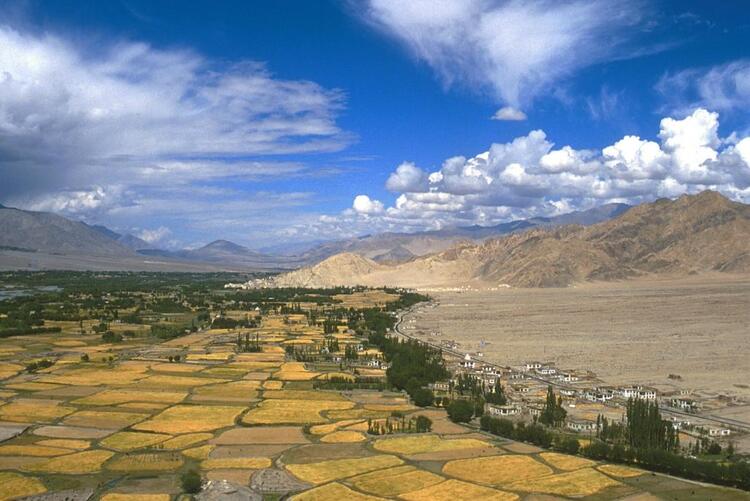 Upper Shey and Lower Thiksey villages Upper Shey and Lower Thiksey villages
