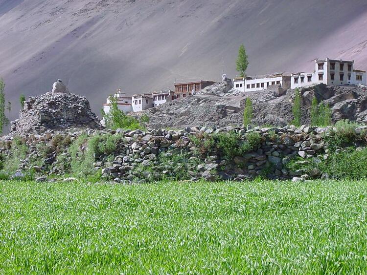 Village in Ladakh in summer Village in Ladakh in summer
